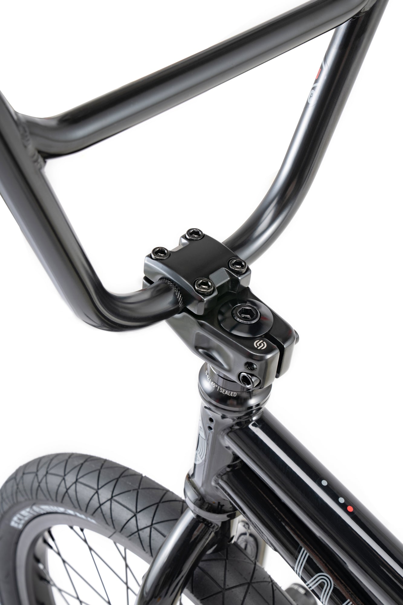 WETHEPEOPLE 2023 – SINUS